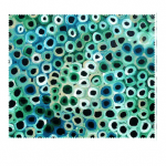 Aboriginal Art - Lena Pwerle - Microfibre Lens Cloth