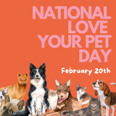 National Love your pet day